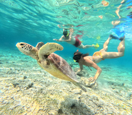 Top Bali Tours and Experiences You Should Not Miss